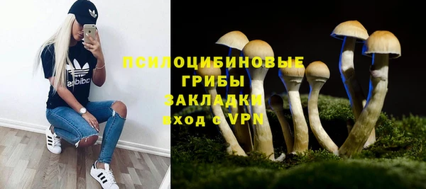 спайс Пестово