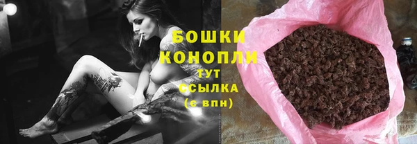 ГАЛЛЮЦИНОГЕННЫЕ ГРИБЫ Пересвет