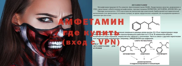 ГАЛЛЮЦИНОГЕННЫЕ ГРИБЫ Пересвет