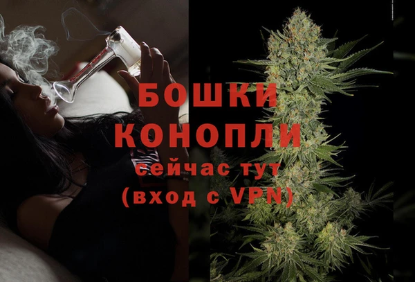 спайс Пестово