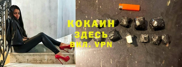 ГАЛЛЮЦИНОГЕННЫЕ ГРИБЫ Пересвет